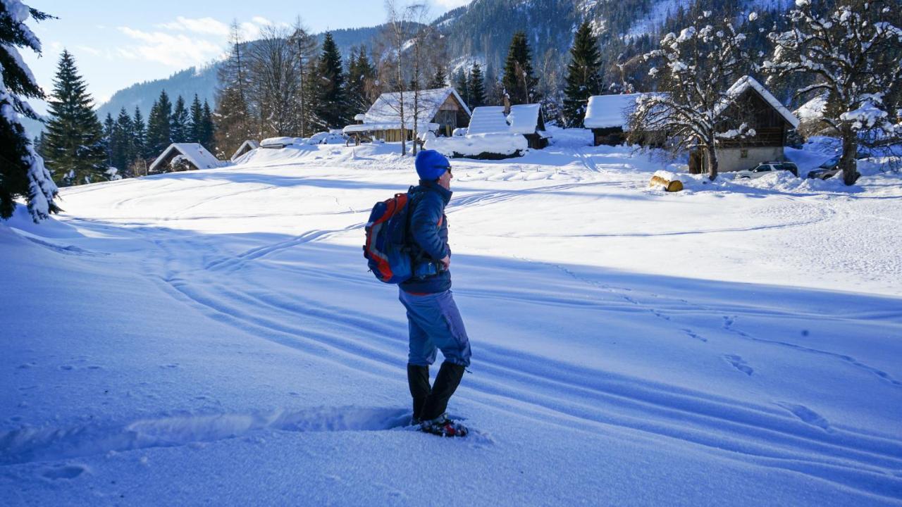 Chalet Hike&Bike Above Bohinj Valley Exterior photo